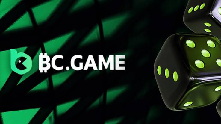 Understanding the BC.Game Mirror Login Process -306434666 Understanding the BC.Game Mirror Login Process -306434666